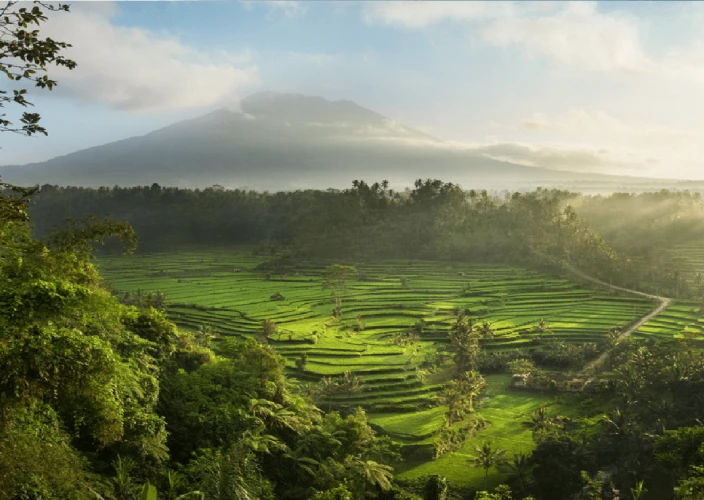 Balinesische Kultur und Entspannung auf Nusa Lembongan – 16 Tage / 15 Nächte - Ausflug in die grünen Berge von Munduk - Tagesfoto