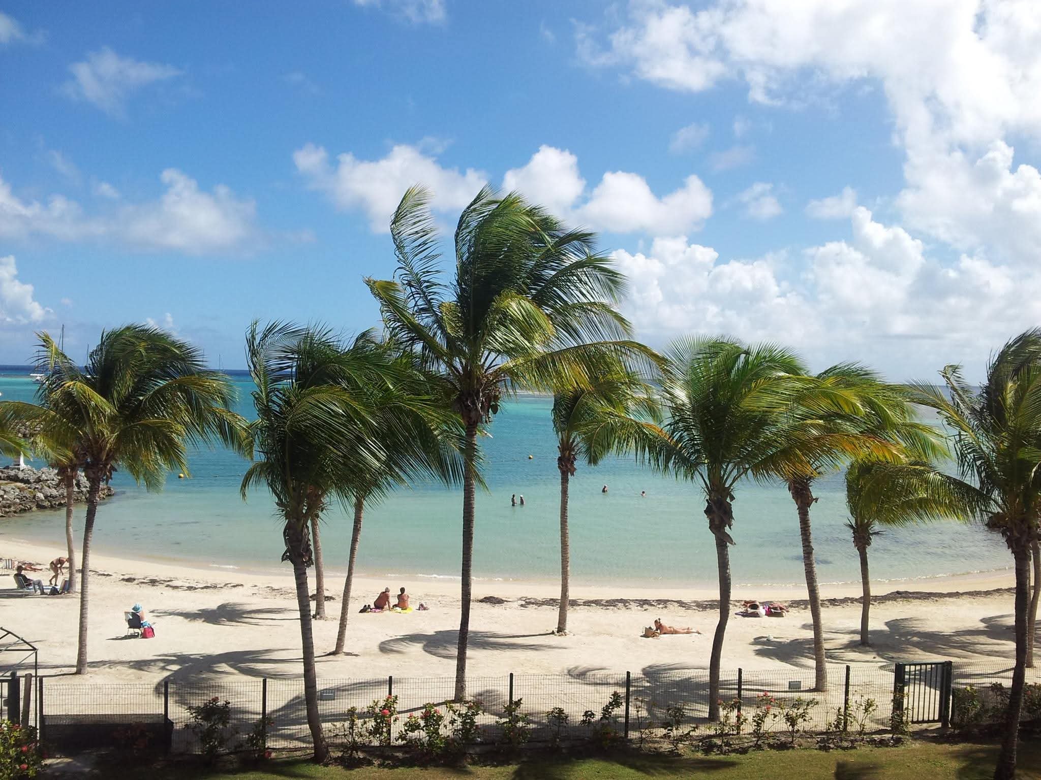 Combinado Guadalupe e Martinica - Guadeloupe - Paris - Foto do dia