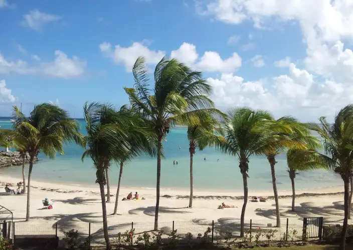 Combiné Guadeloupe et Martinique - Guadeloupe - Paris - Photo du jour