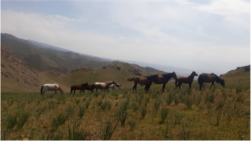 Trekking op ontdekking van het Song Koul-meer - Kilemche-vallei. - Vallée de Kilemche.