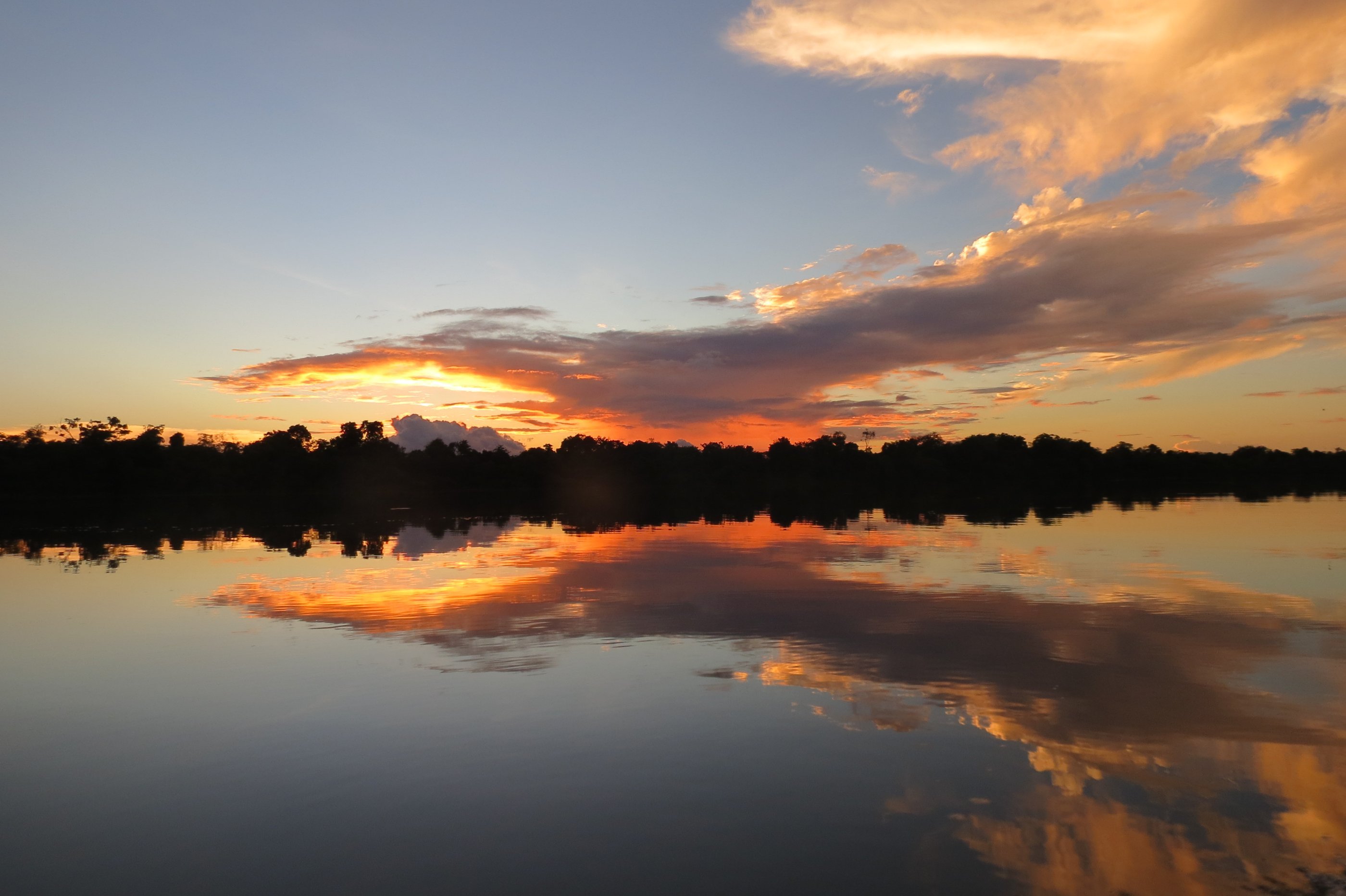 Van de Amazone tot de Stille Oceaan - Dag 16: Rio Don Diego en terugvlucht - Jour 16 : Rio Don Diego et vol retour
