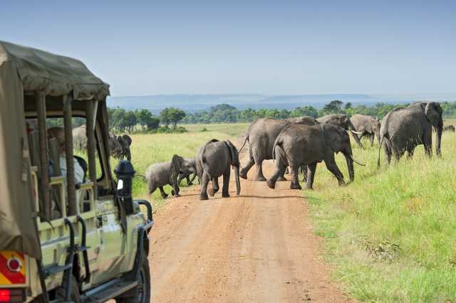 6 Tage - Kenia Majestic Private Safari