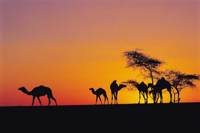 Chinguetti and the Erg Warane, immersion in the sands