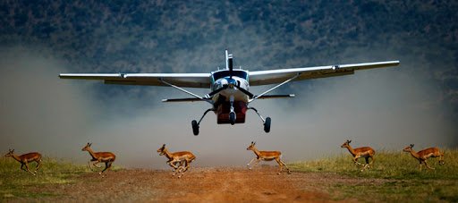 Safari de lujo en avión por Kenia - Vuela al Maasai Mara – Entra en la icónica sabana - Foto del día