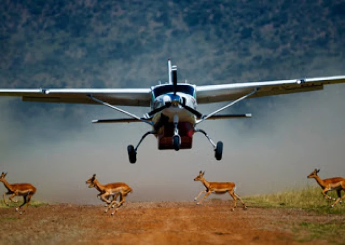 Luxury Flying Safari Across Kenya - Fly to Maasai Mara – Enter the Iconic Savannah - Photo of the day