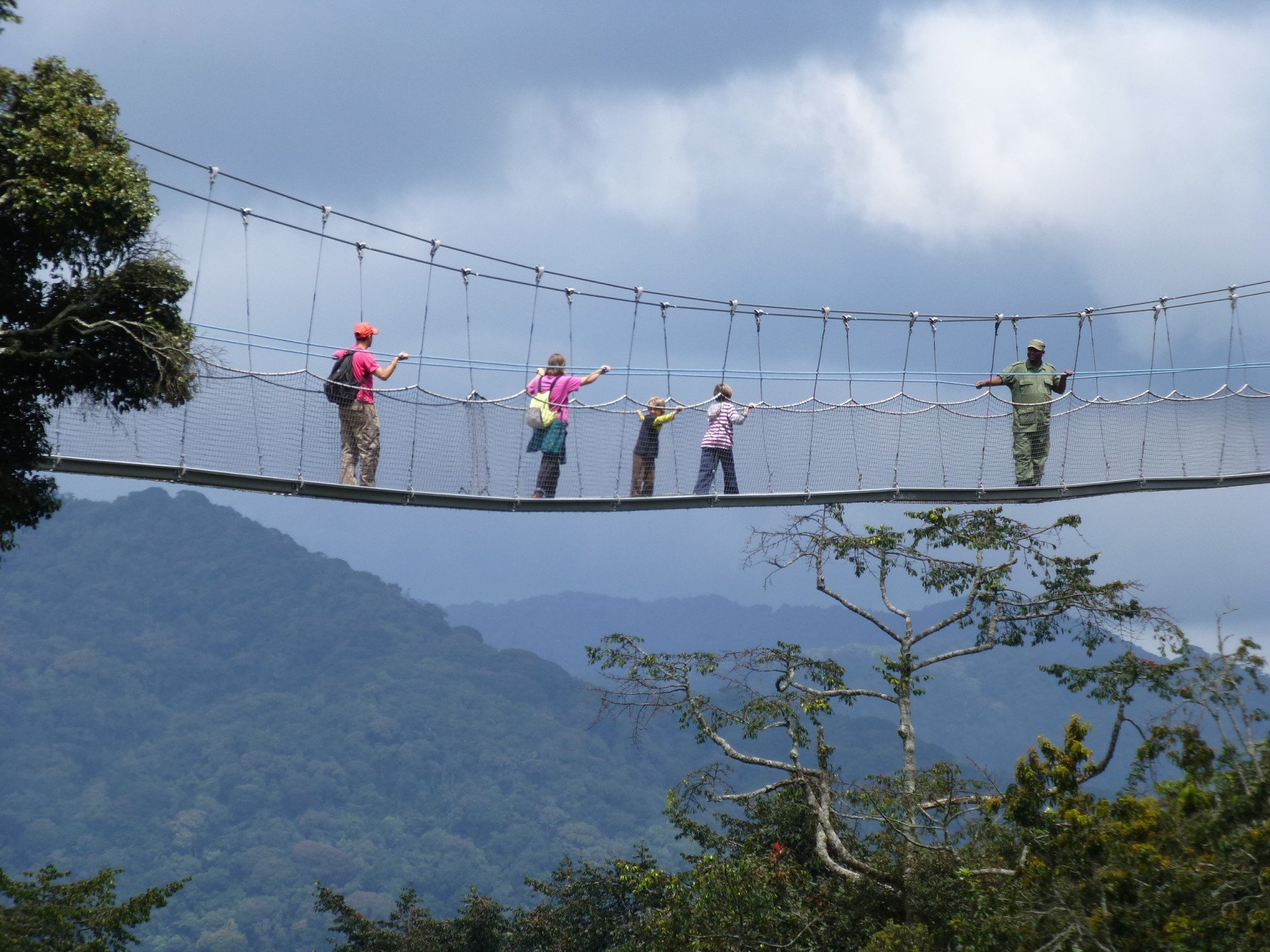 14-day adventure trip: discover Rwanda. - Transfer to Nyungwe National Park - Transfert au parc national de Nyungwe