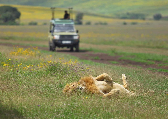 Tanzania Classic Safari: The Ultimate Wildlife Journey - Arusha to the Wilderness of Tarangire - Tarangire Game Drive