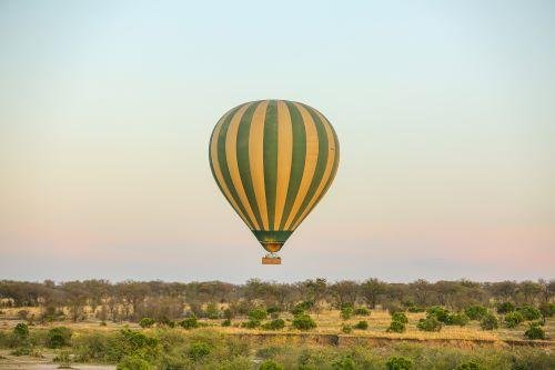 Safari de migración de ñus en temporada de parto - Arusha a Ndutu (B, L, D) - Arusha to Ndutu (B, L, D)