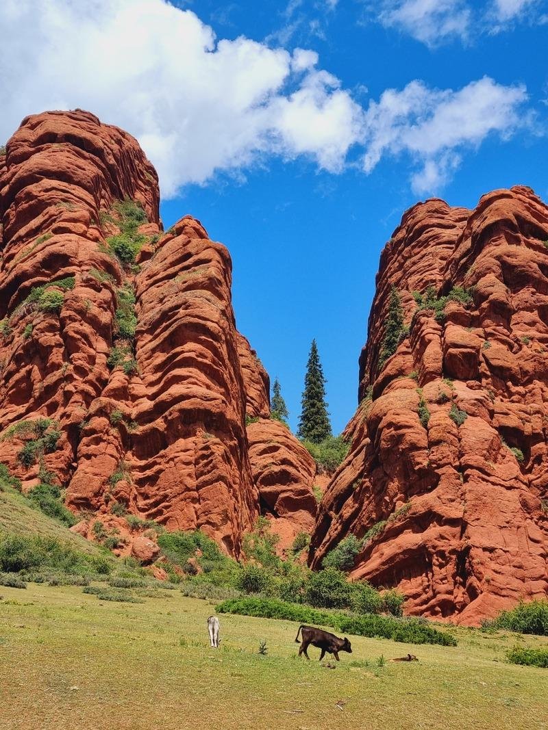Kazakistan e Kirghizistan combinati - Karakol - Jeti Ogouz - Canyon Skazka - Kochkor - Karakol-Jeti Ogouz-canyon Skazka-Kochkor