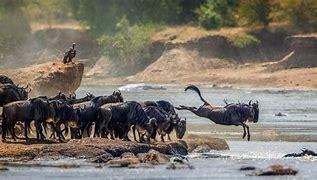 Aventure tanzanienne : 10 jours au cœur de la faune africaine - Retour Karatu - Retour Karatu