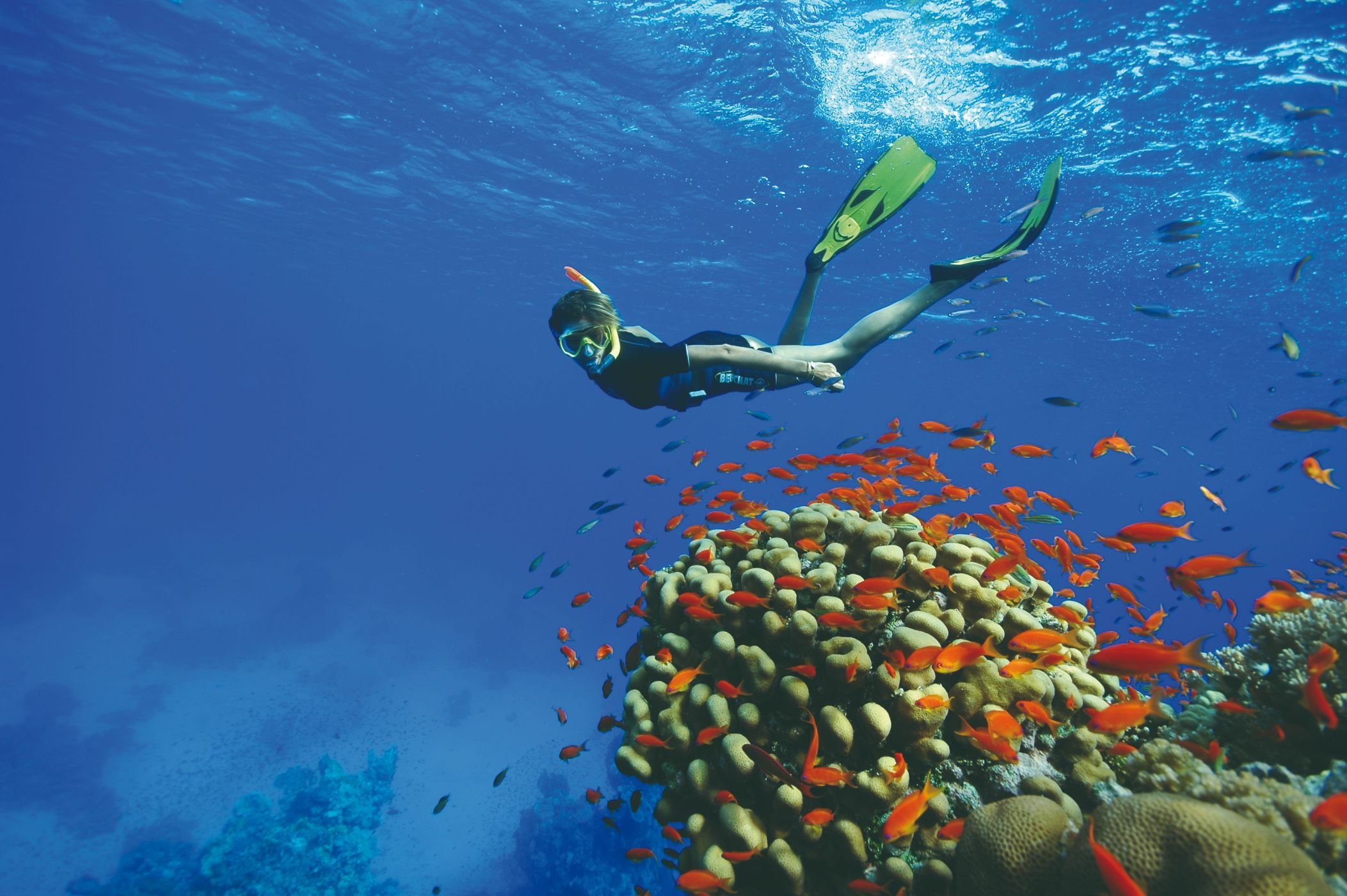 Nature et villages du Sri Lanka - KALPITIYA : Journée libre et bien-être en bord de mer - KALPITIYA : Journée libre et bien-être en bord de mer