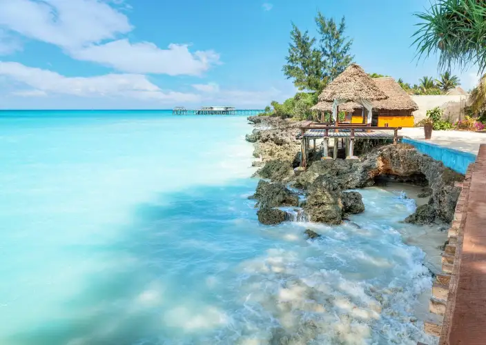 Avventura nella boscaglia e relax a Zanzibar - Relax paradisiaco a Zanzibar - Foto del giorno