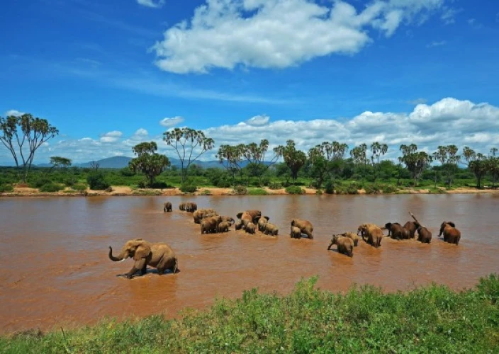 Essence of Kenya Safari - Nairobi to Samburu National Reserve - Photo of the day