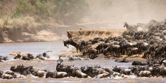Safari de 14 días en Tanzania, cultura y escapada a Zanzíbar