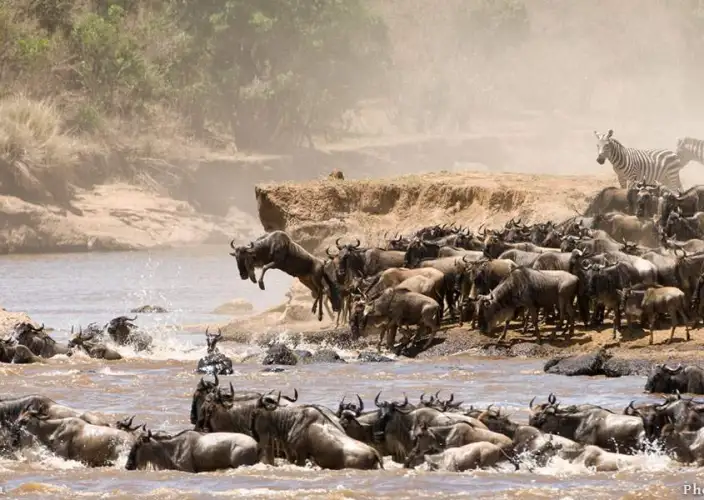 14-daagse Tanzania Safari, Cultuur & Zanzibar Ontsnapping - Volledige dag in Tarangire - Foto van de dag