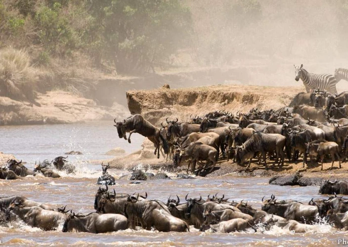 14-Day Tanzania Safari, Culture & Zanzibar Escape - Full Day in Tarangire - Photo of the day