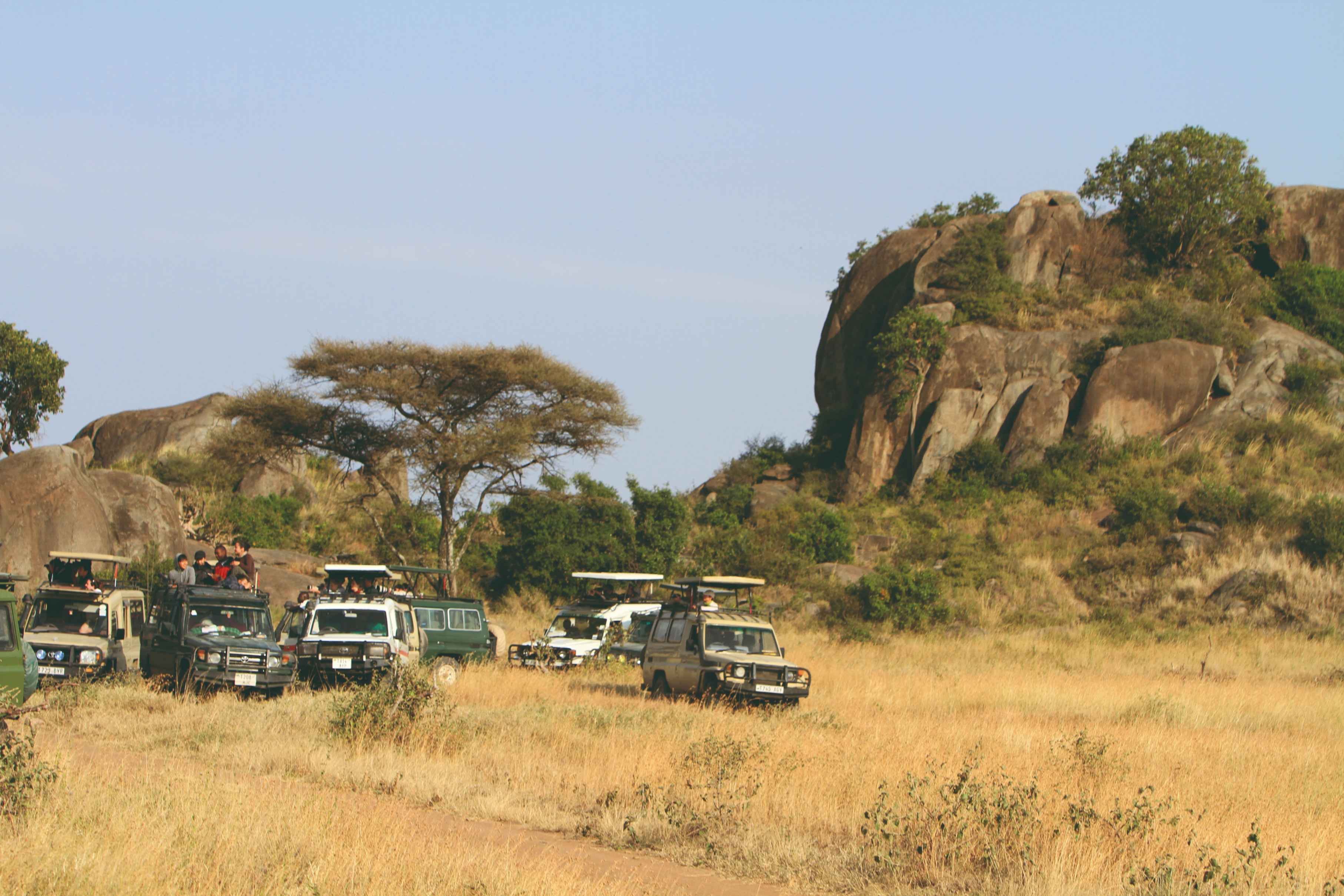 Tarangire, het Natronmeer, de berg Oldonyo Lengai, Serengeti, de Ngorongoro-krater en het Manyarameer - Nationaal park Serengeti - wildobservatie - Parc national du Serengeti - observation du gibier