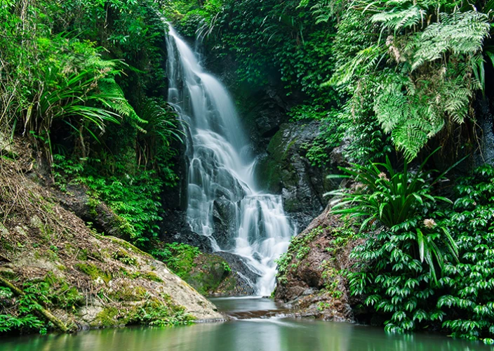 Campervan Hire - Sydney to Brisbane - Brunswick Heads to Tallebudgera - Photo of the day