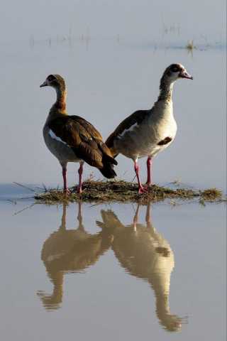 4-tägiges Game Maasai Mara mit Lake Naivasha Geographisch