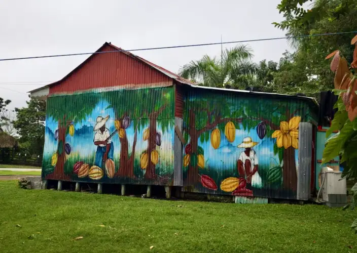 Bayahibe und Los Haitises - Safari-Entdeckung des dominikanischen Hinterlandes - Tagesfoto