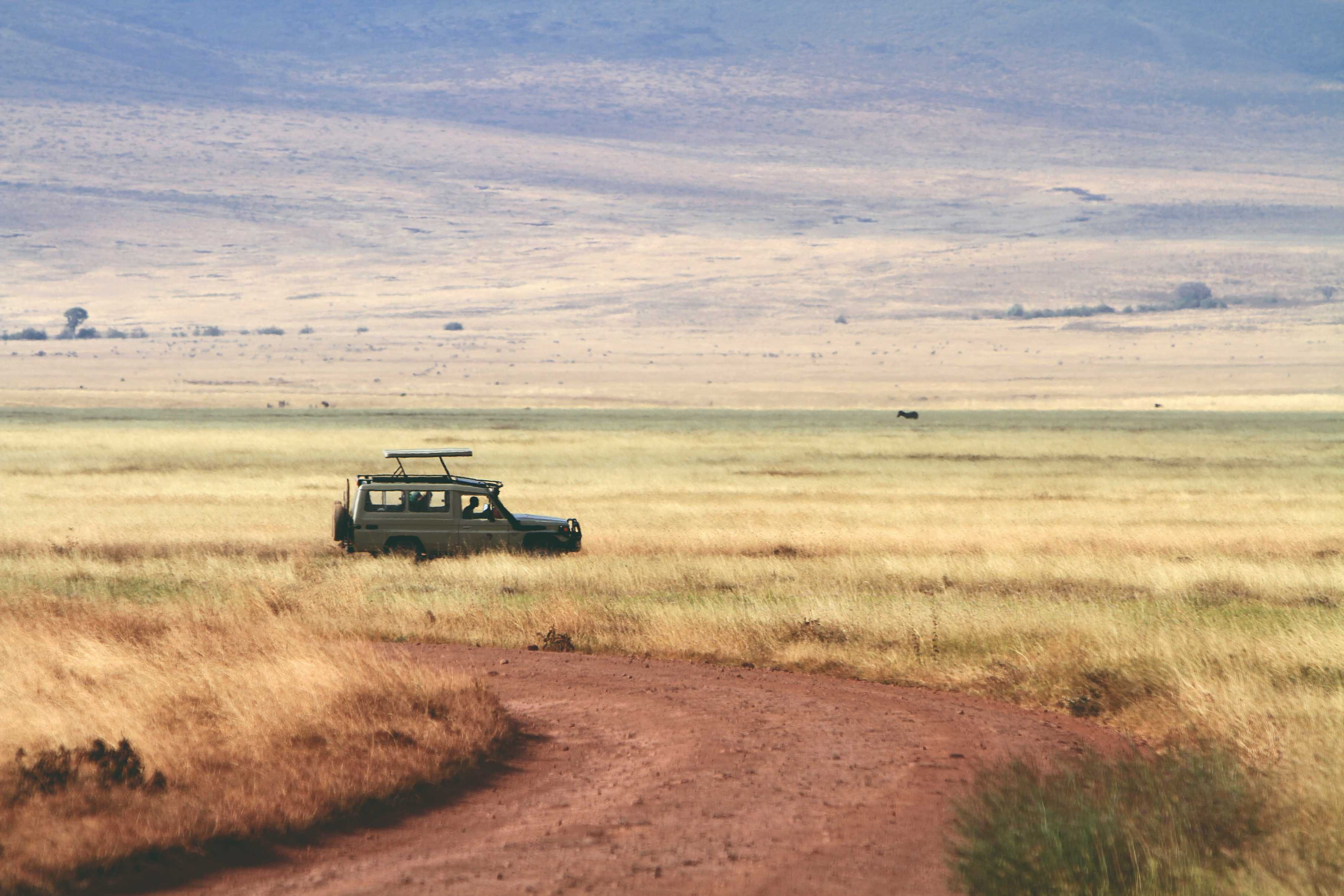 Le parc national du Serengeti - Profitez du pittoresque cratère du Ngorongoro. - Profitez du pittoresque cratère du Ngorongoro