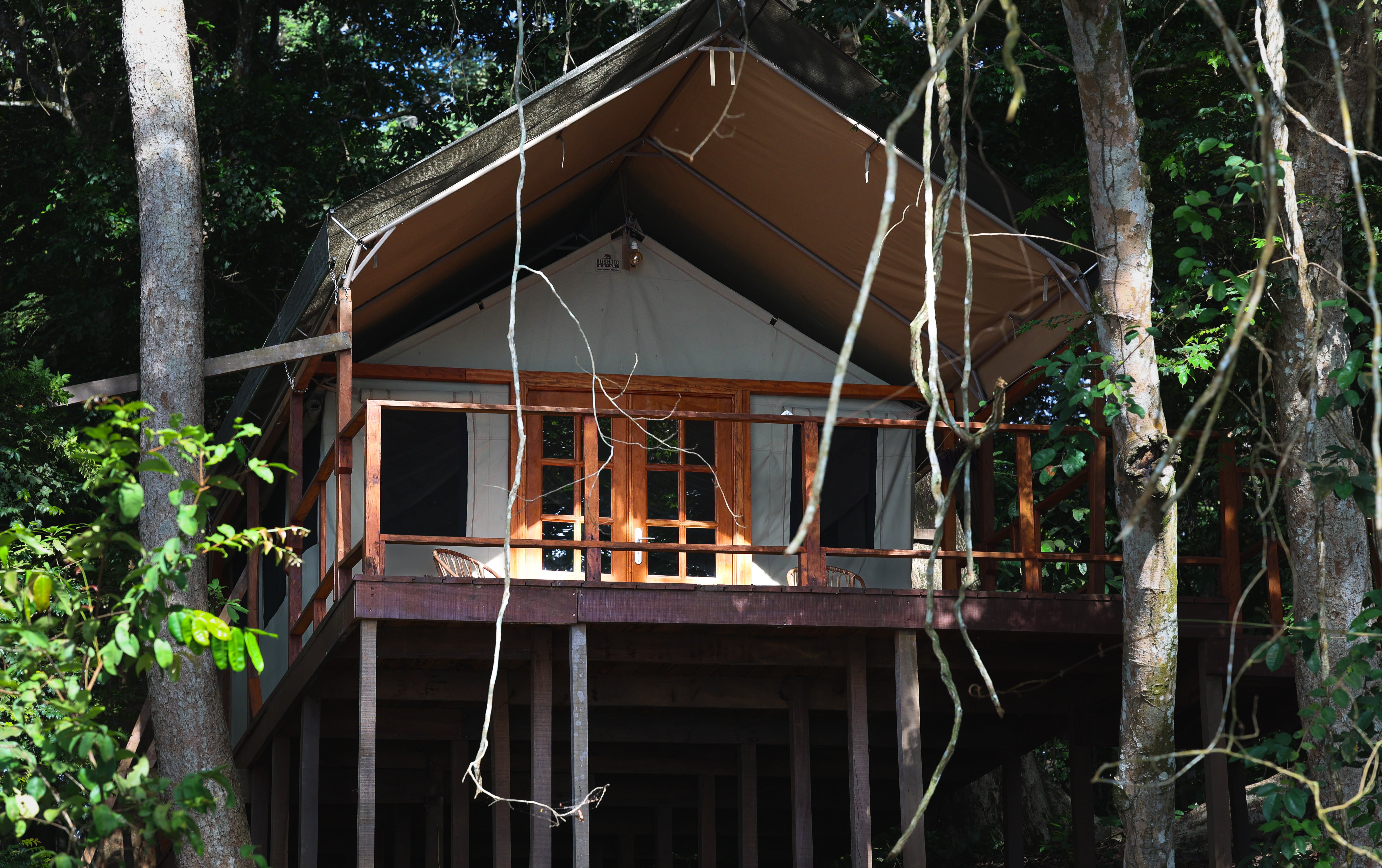 Experiência com Gorilas das Terras Baixas em África: Último Éden "GABÃO" - Partida para Port-Gentil e continuação da viagem para o Parque Nacional de Loango - Foto do dia