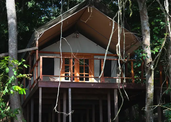 Experiência com Gorilas das Terras Baixas em África: Último Éden "GABÃO" - Partida para Port-Gentil e continuação da viagem para o Parque Nacional de Loango - Foto do dia
