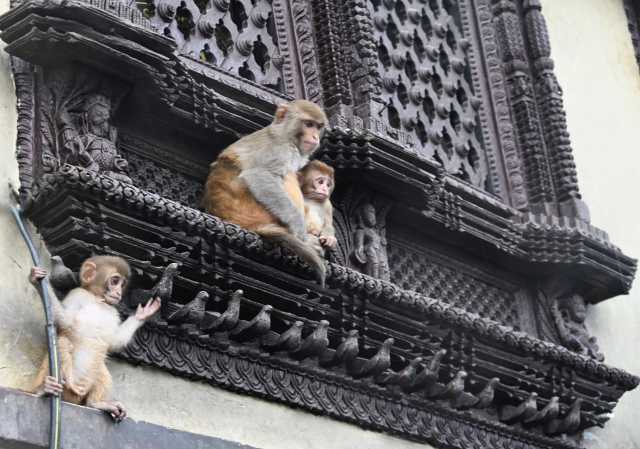 Tengboche - Trekking corto al Everest