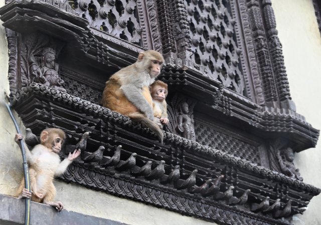 Tengboche - Trilha Curta ao Everest