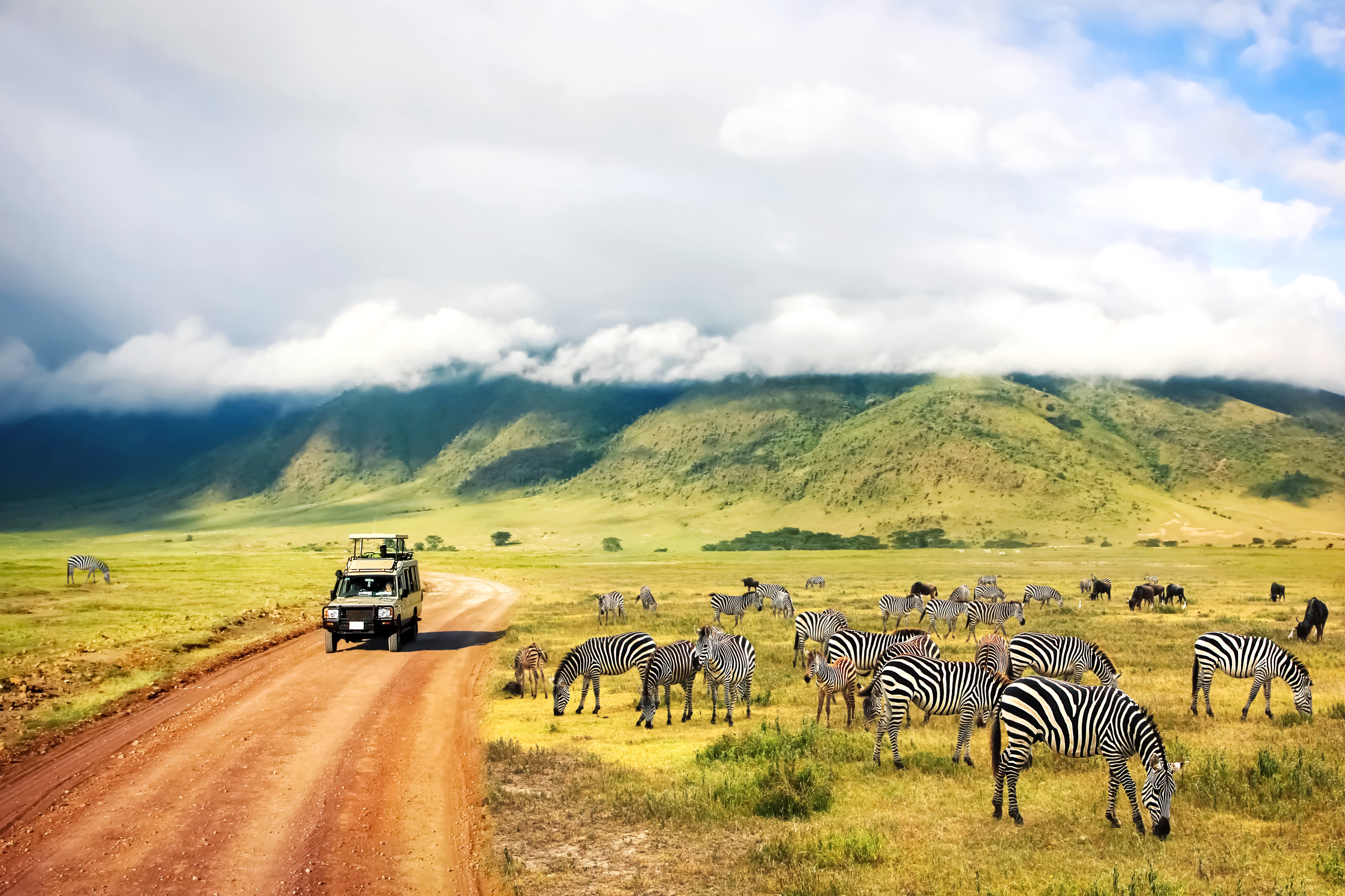 Serengeti, Ngorongoro und Tarangire-Nationalpark - Serengeti-Nationalpark Pirschfahrt - Serengeti National Park Gam Drive