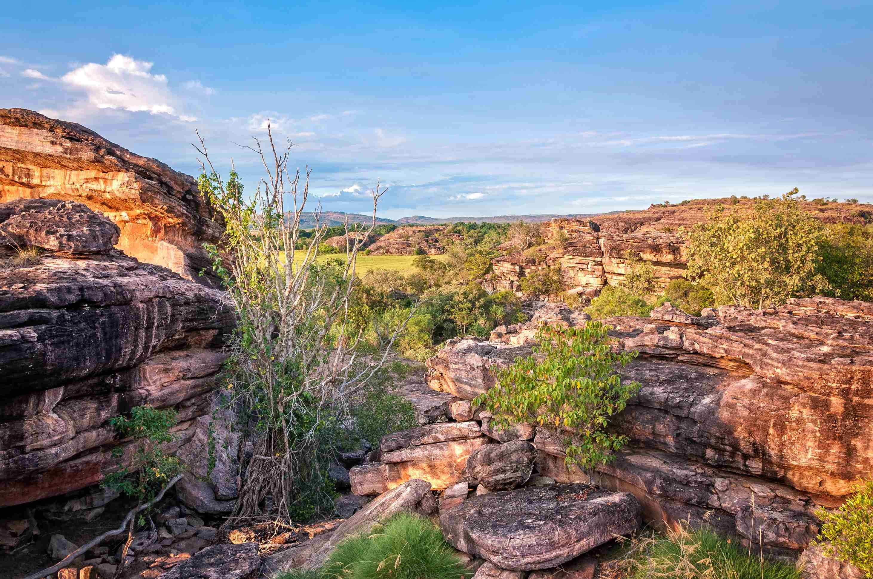 Aboriginal ervaringen - Nitmiluk National Park - Kakadu National Park - Nitmiluk National Park - Kakadu National Park