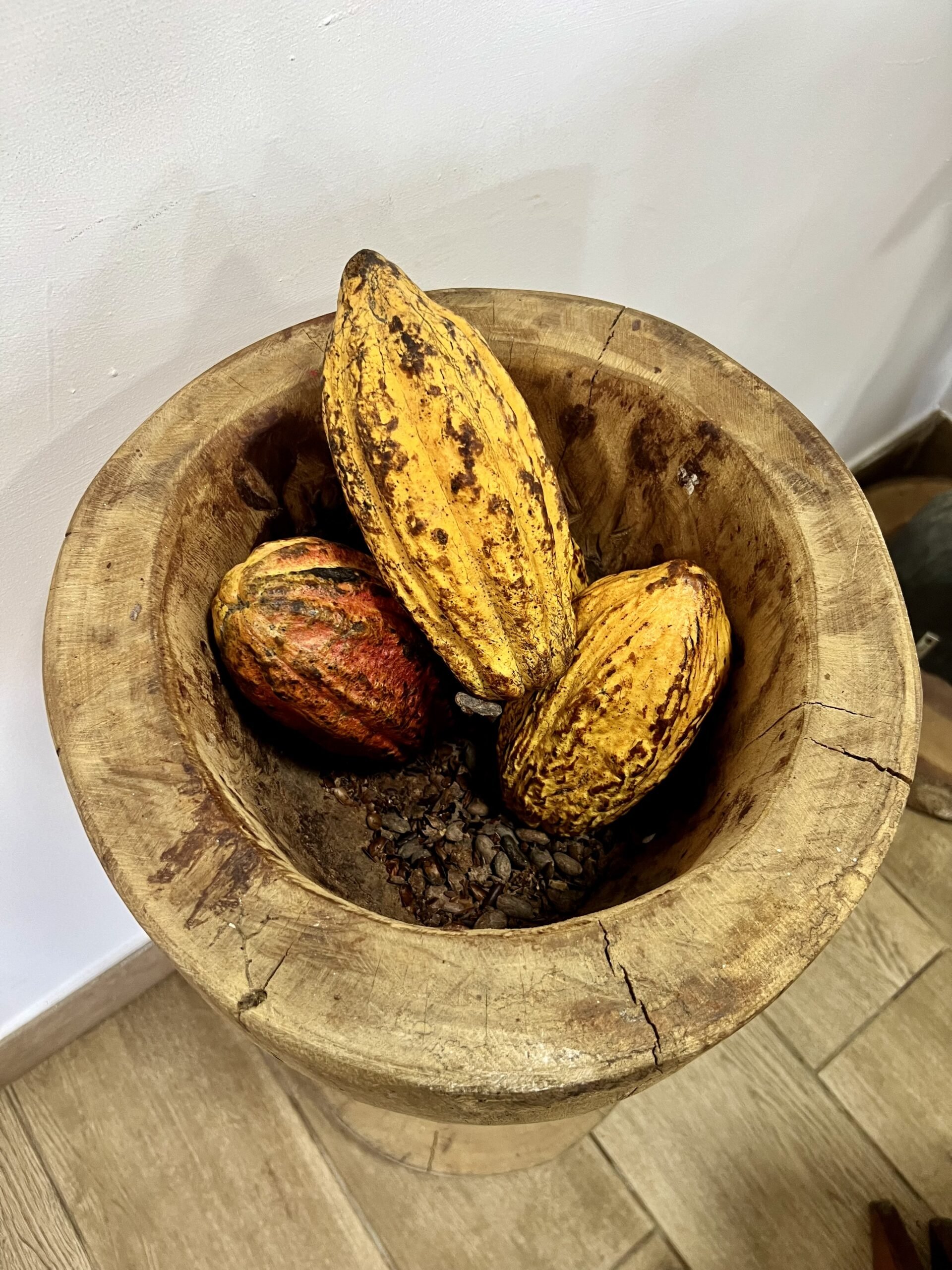 Bayahibe et Los Haitises - Choisissez votre expérience : Catalina ou La Romana & Altos de Chavón - Photo du jour