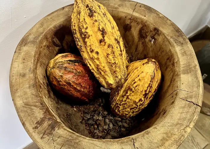 Bayahibe und Los Haitises - Wählen Sie Ihr Erlebnis: Catalina oder La Romana & Altos de Chavón - Tagesfoto