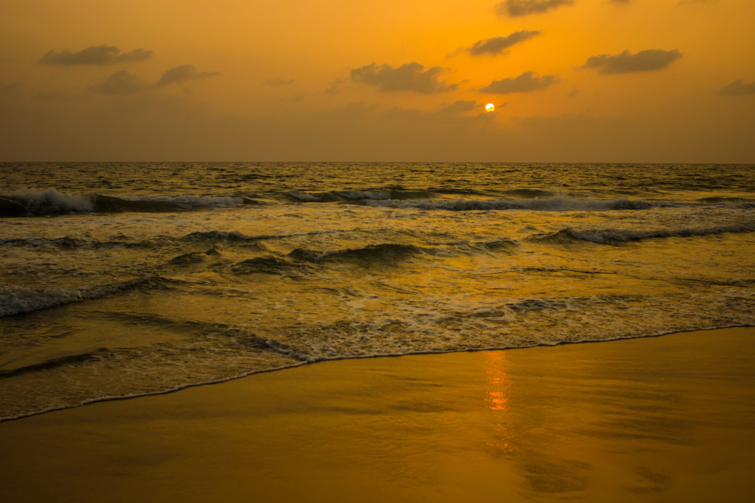 Voyage en famille : nature, éléphants et sentiers - Backwaters - Marari Beach - Backwaters - Marari Beach