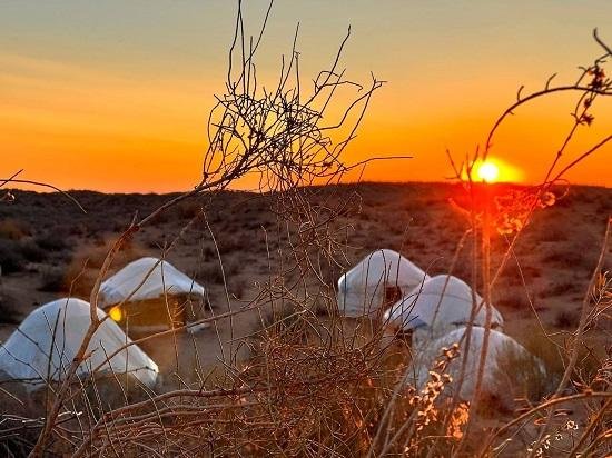 Experiência de vida uzbeque - Aldeia Sentob – Lago Aydar – Acampamento de iurtas (130 km ~2,5 h de estrada) - Village Sentob – Lac Aydar – Campement de yourtes (130km~2,5h de route)