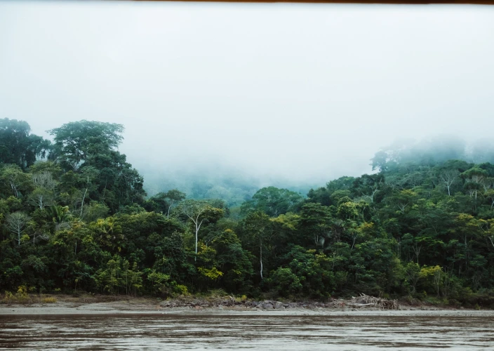 Bolivia Amazon Adventure (ATCH 3000) - Chalalan - Rurrenabaque - Pampas - Photo of the day