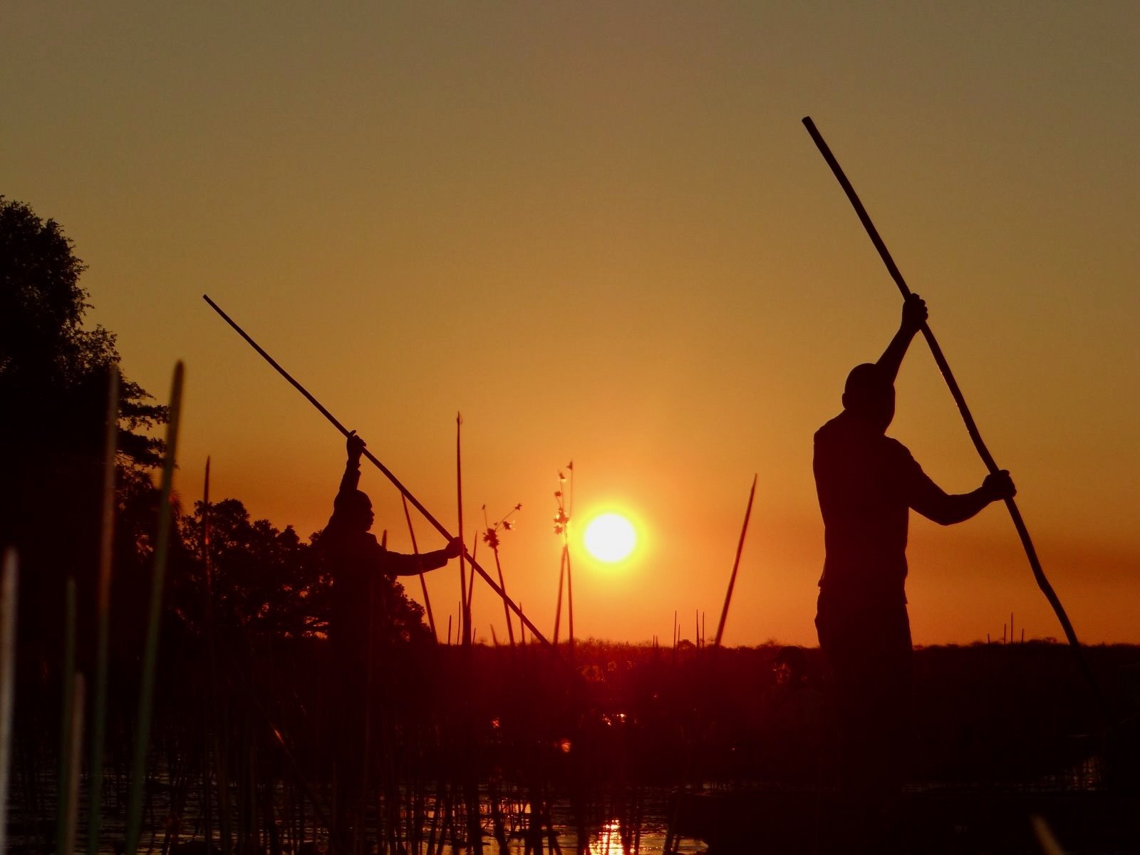 Botsuana visto desde el cielo - Descubrimiento del delta del Okavango - Foto del día