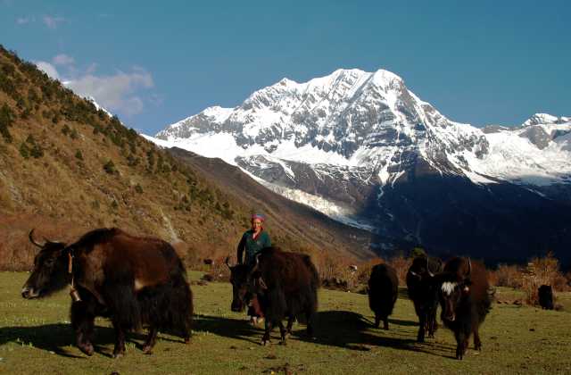 Trek au camp de base de l'Everest