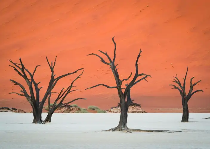 No coração dos tesouros da África Austral - O deserto do Namibe - Foto do dia
