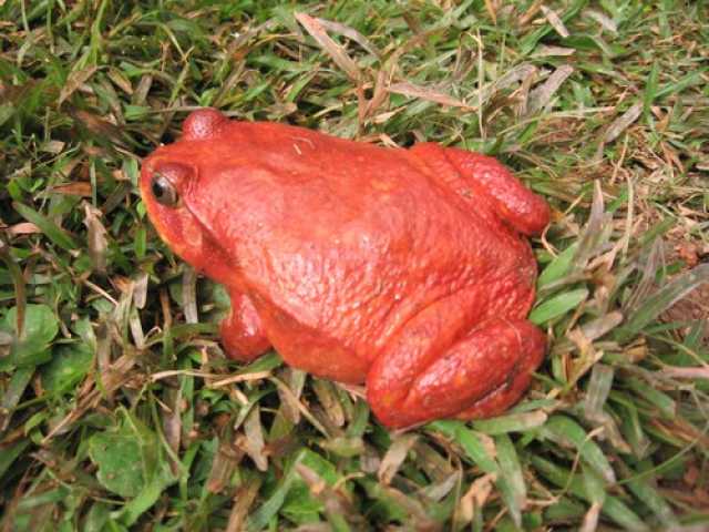 Os segredos da Rota Nacional 7 de Madagascar