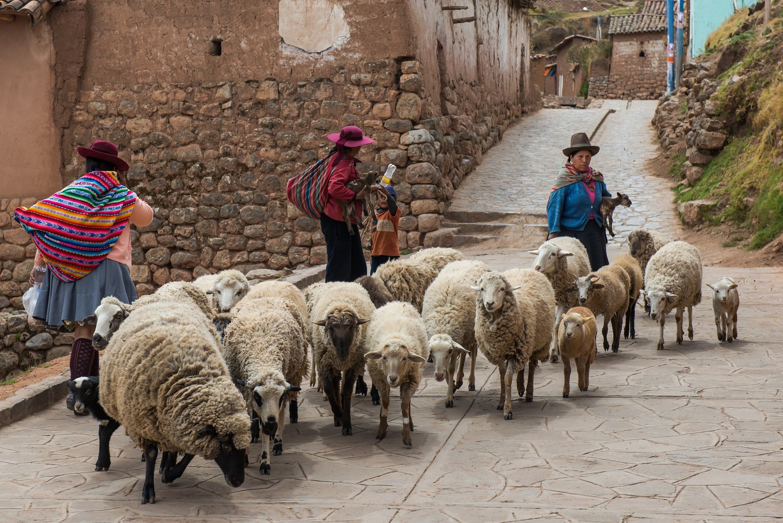 Cuzco, Machu Picchu y Nazca - Valle Sagrado - Foto del día
