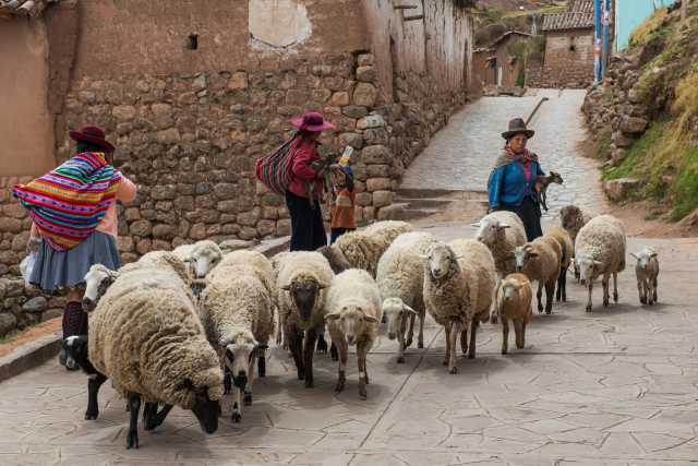Cuzco, Machu Picchu y Nazca