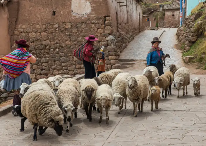 Cuzco, Machu Picchu y Nazca - Valle Sagrado - Foto del día