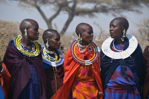 5 Day Serengeti & Ngorongoro Safari - Ngorongoro Crater (B, L) - Ngorongoro Crater (B, L)