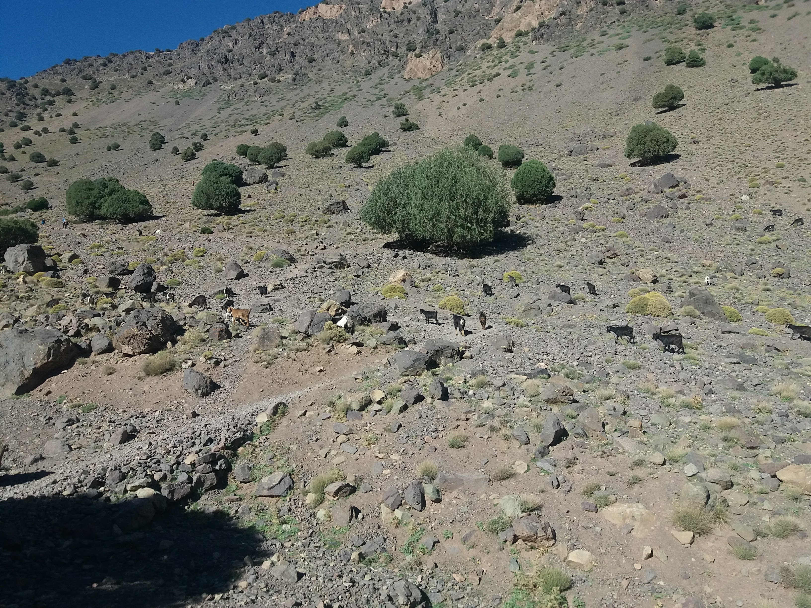 Senderismo Toubkal 5 días - Tizi Oussem - Tizi Mzik - Aremd. 1900 m - Tizi Oussem  -  Tizi  Mzik  -  Aremd.  1900m