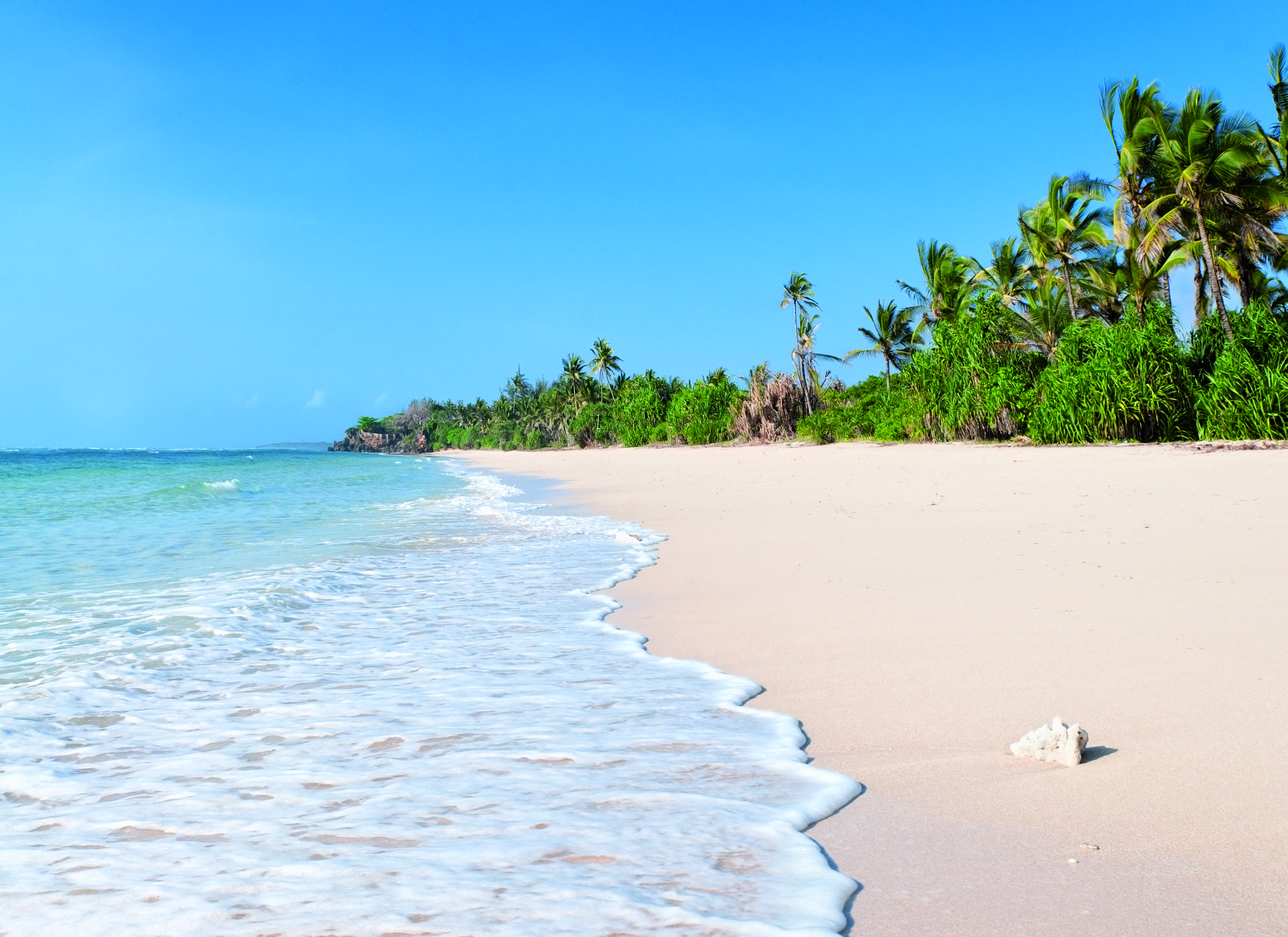 Magic of Kenya with the family - Diani Beach - Diani Beach