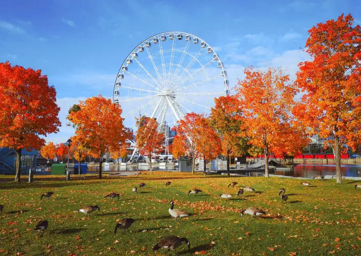 Discovery of Canada - Montreal, the city of a thousand facets - Photo of the day