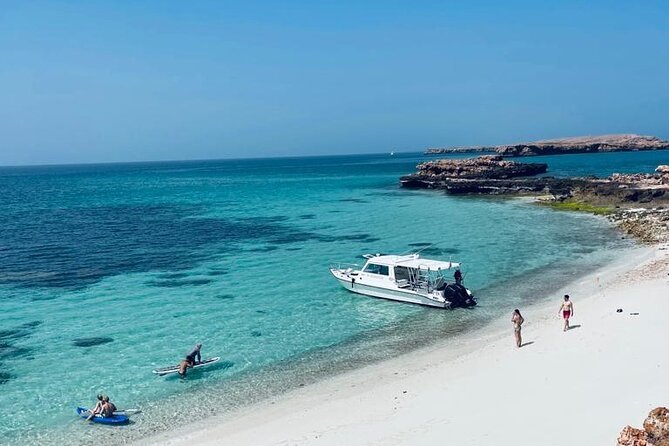 Fuga in Oman - Avventura tra le maestose montagne, il deserto e il mare dell'Oman - TOUR DI SNORKELING ALLE ISOLE DIMANIYAT (Tour Condiviso) - Foto del giorno