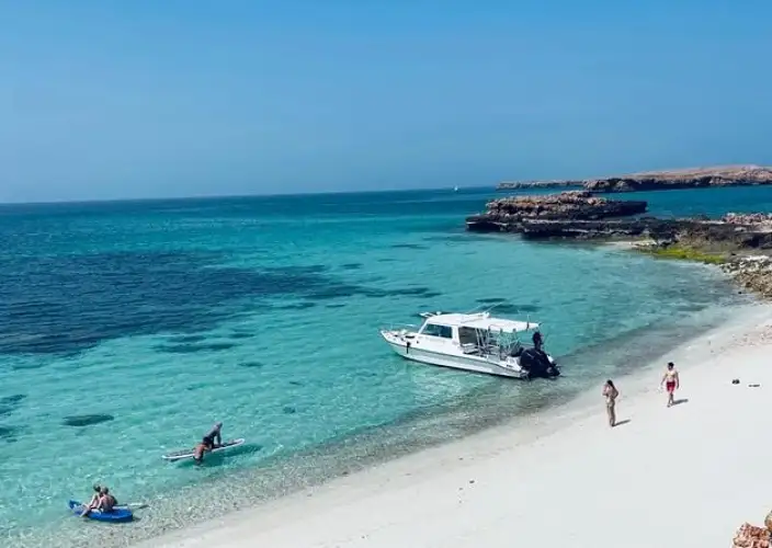 Fuga in Oman - Avventura tra le maestose montagne, il deserto e il mare dell'Oman - TOUR DI SNORKELING ALLE ISOLE DIMANIYAT (Tour Condiviso) - Foto del giorno
