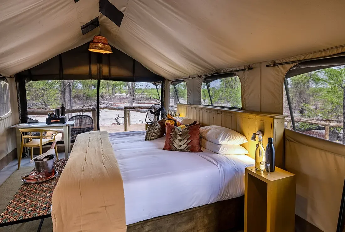 Khwai à pied - Transfert vers Khwai & Safari à pied jusqu'à Elephant Pan - Photo du jour